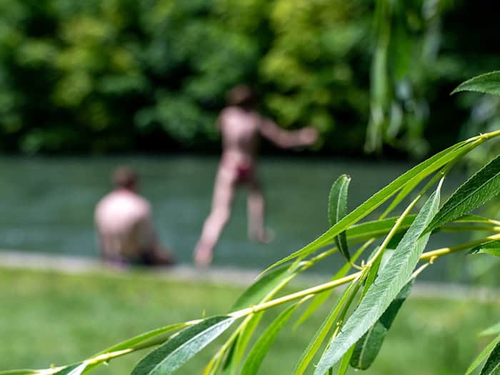 Nach dem Sprung ins Wasser fehlte von dem Mann jede Spur – zur Sorge des Bekannten. (Symbolbild) / Foto: Leonie Asendorpf/dpa