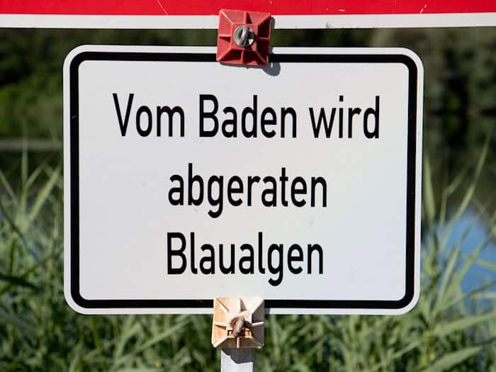 Die bayerischen Gesundheitsämter warnen an mehrere Badeseen vor Blaualgen. (Symbolbild) / Foto: Julian Stratenschulte/dpa