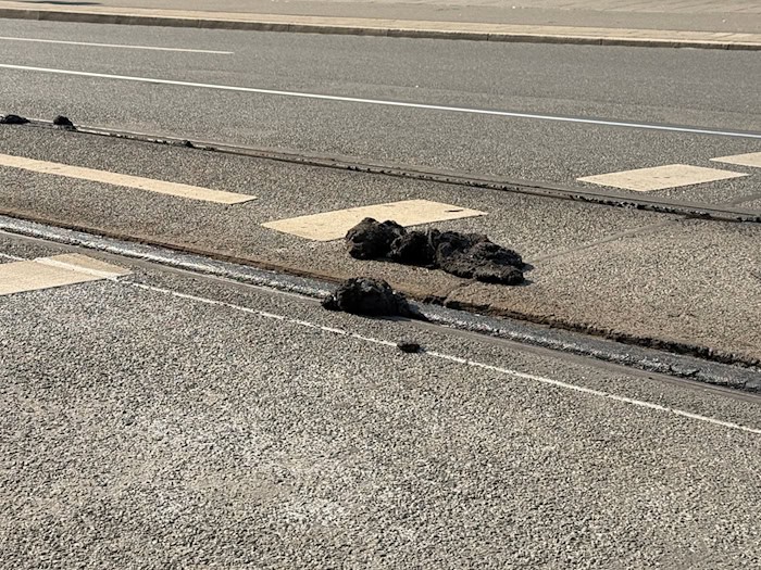 Die Hitze hat den Straßenbelag der VAG zufolge an manchen Stellen so weich werden lassen, dass die Straßenbahnen nicht mehr sicher fahren können.  / Foto: Irena Güttel/dpa