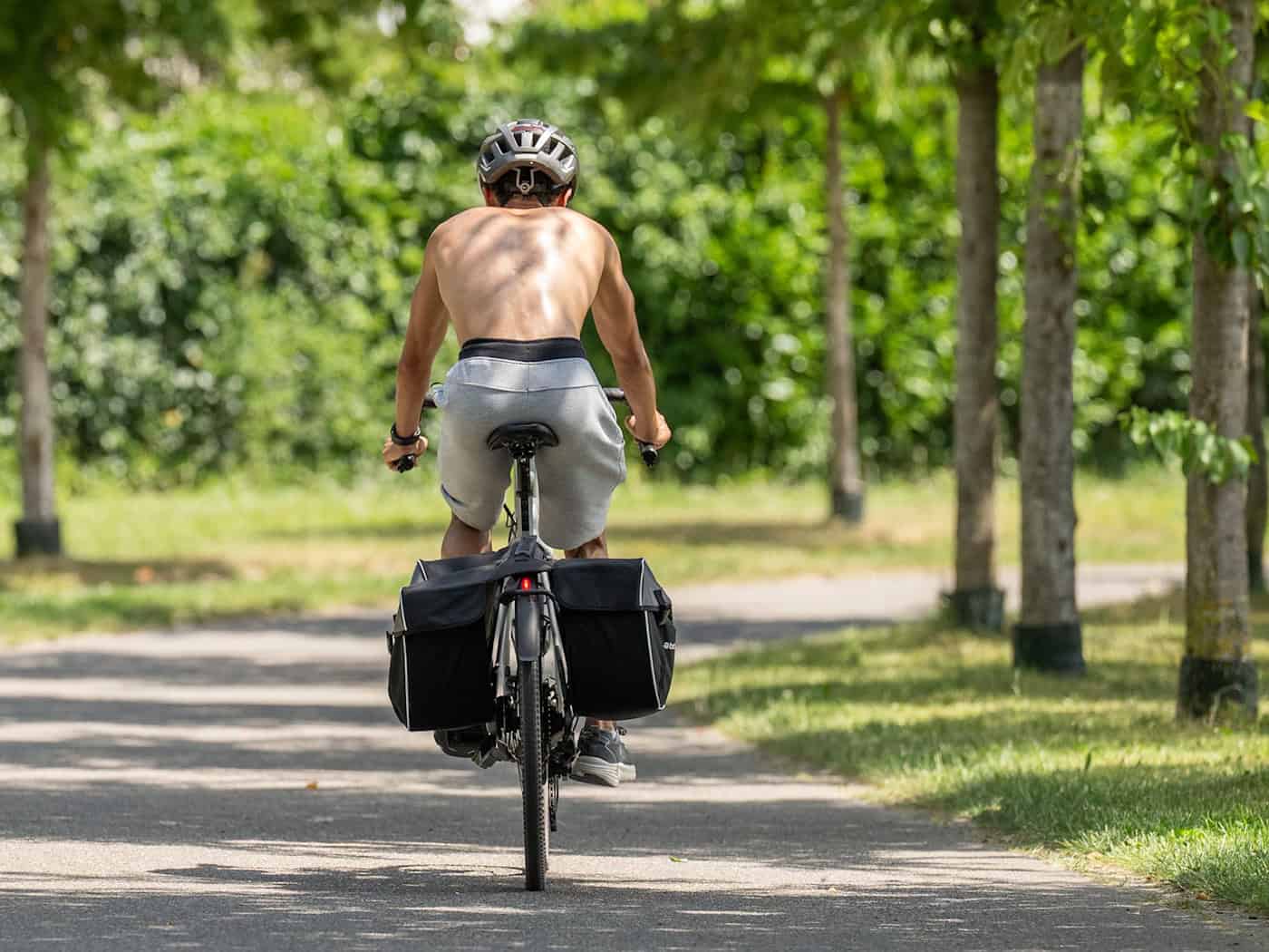 Am Donnerstag werden laut DWD Höchsttemperaturen von bis zu 38 Grad erwartet. (Symbolbild) / Foto: Silas Stein/dpa