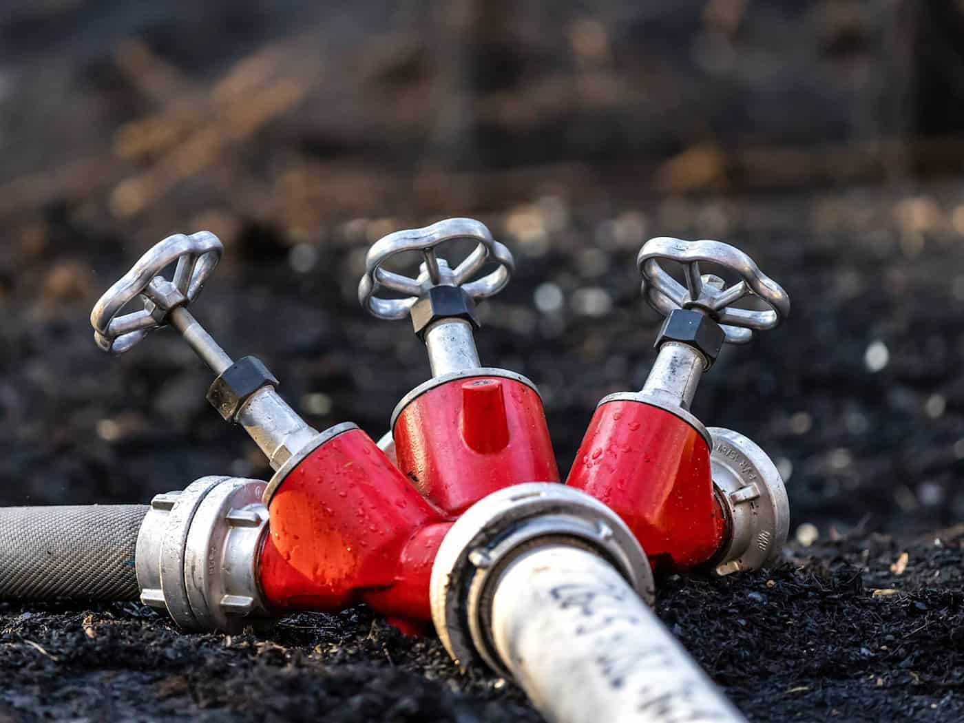 Rund 350 Kräfte der Feuerwehr löschten den Waldbrand. (Symbolbild) / Foto: Frank Hammerschmidt/dpa