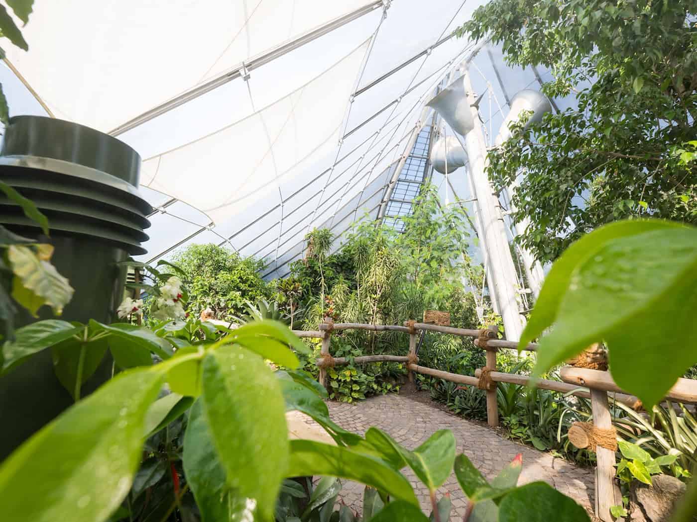 Der Umbau hat nach Angaben des Tierparks etwa 11 Millionen Euro gekostet. / Foto: Tobias Hase/dpa