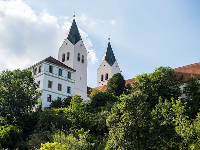 Traditionell wird im Freisinger Dom die Priesterweihe für das Erzbistum München-Freising gefeiert. (Symbolbild) / Foto: Lino Mirgeler/dpa