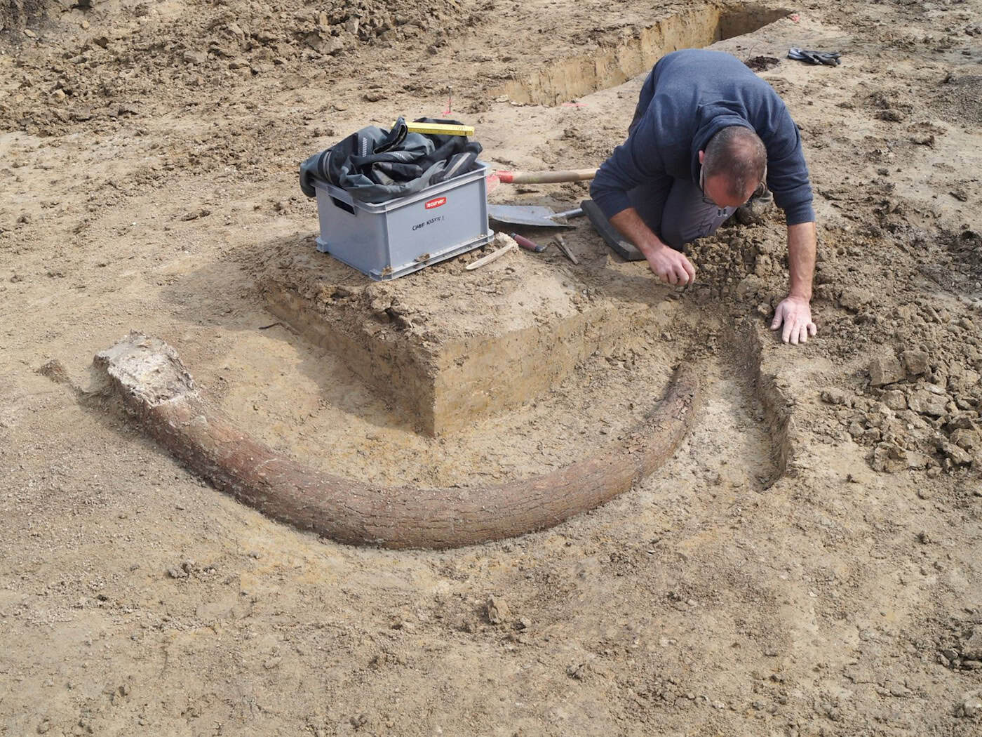 Das in Bayern entdeckte Mammut gibt Aufschluss auch über die Lebensweise der Steinzeitmenschen. (Handout)  / Foto: --/Bayerisches Landesamt für Denkmalpflege /dpa