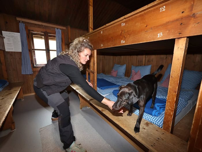Hund Linus und seine Hundeführerin Laura Pannasch auf der Suche nach der Wanze.  / Foto: Karl-Josef Hildenbrand/dpa