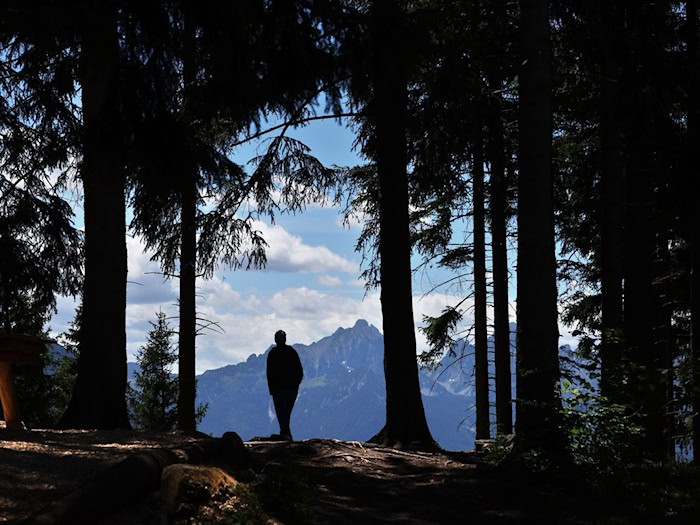 In den Allgäuer Alpen will die Polizei in den kommenden Wochen verstärkt Naturschutzkontrollen durchführen. (Symbolbild) / Foto: Karl-Josef Hildenbrand/dpa