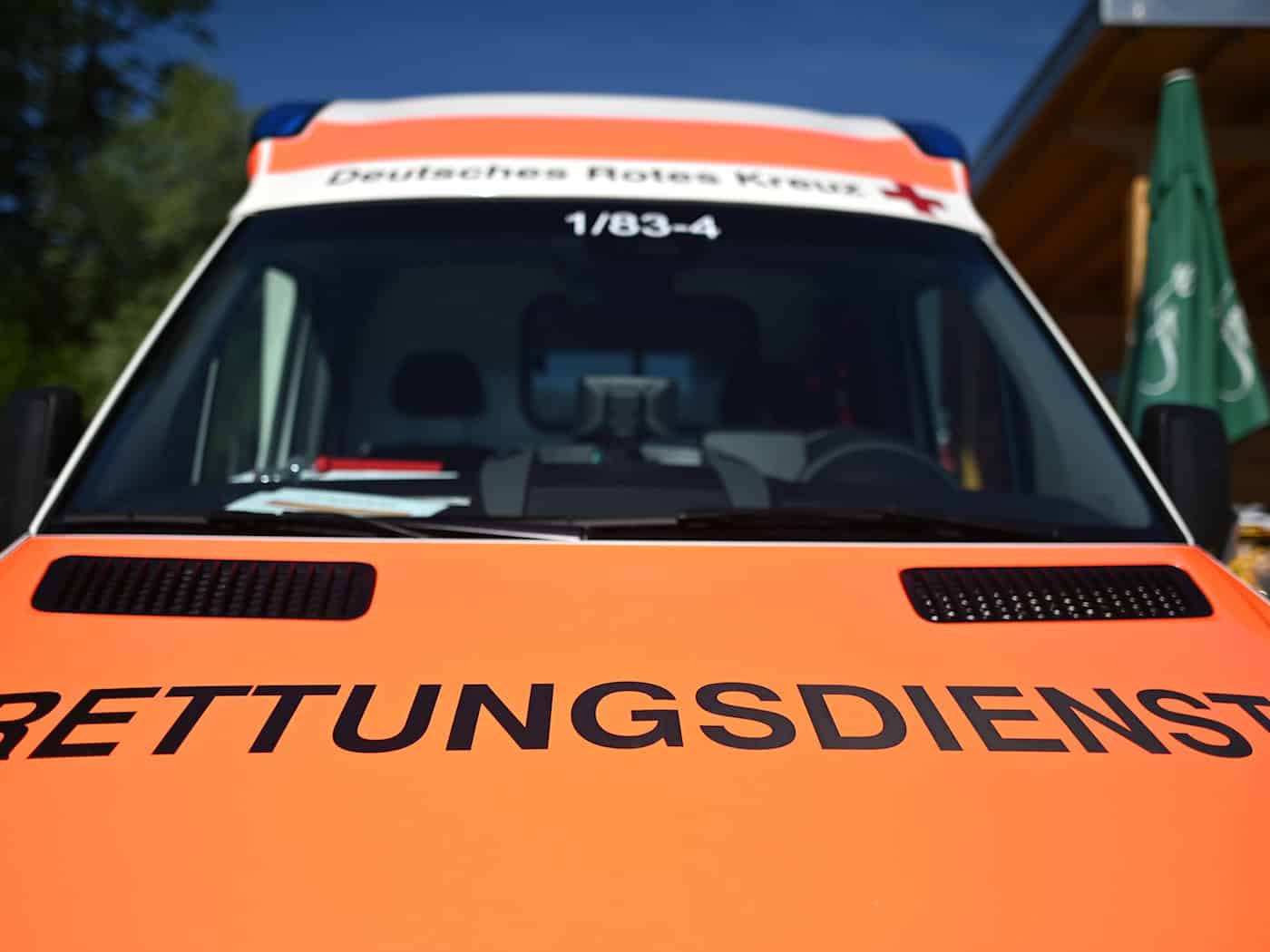 Das Paddle-Board kollidierte mit einem Baum. (Symbolbild) / Foto: Patrick Seeger/dpa
