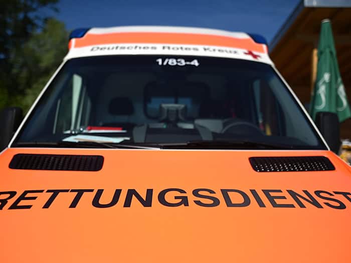 Das Paddle-Board kollidierte mit einem Baum. (Symbolbild) / Foto: Patrick Seeger/dpa
