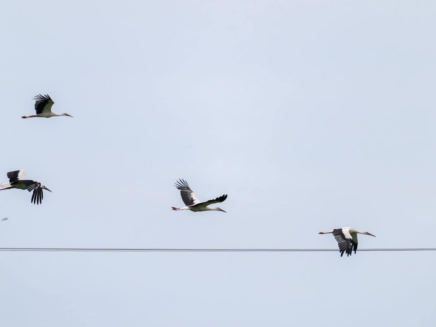 Das Wetter in Bayern stabilisiert sich.  / Foto: Pia Bayer/dpa