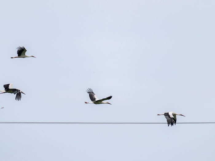 Das Wetter in Bayern stabilisiert sich.  / Foto: Pia Bayer/dpa
