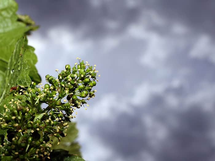 Strahlender Sonnenschein ist heute in Bayern nicht zu erwarten. (Symbolbild) / Foto: Karl-Josef Hildenbrand/dpa