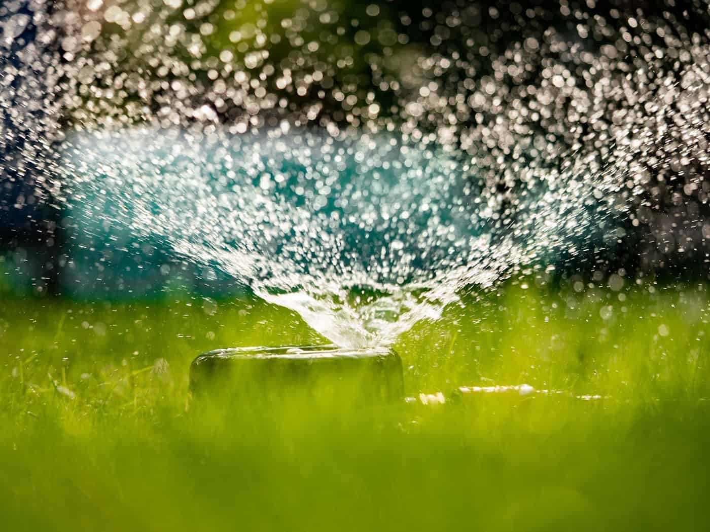 In der niederbayerischen Stadt Landau an der Isar gibt es wegen der anhaltenden Trockenheit jetzt ein Bewässerungsverbot. (Symbolfoto) / Foto: Frank Rumpenhorst/dpa