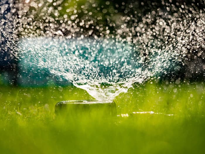 In der niederbayerischen Stadt Landau an der Isar gibt es wegen der anhaltenden Trockenheit jetzt ein Bewässerungsverbot. (Symbolfoto) / Foto: Frank Rumpenhorst/dpa