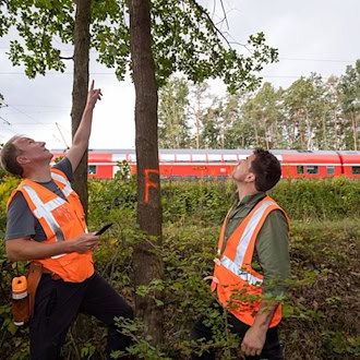 Umgestürzte Bäume verursachen auf Bahngleisen oft Probleme. (Symbolbild) / Foto: Daniel Karmann/dpa