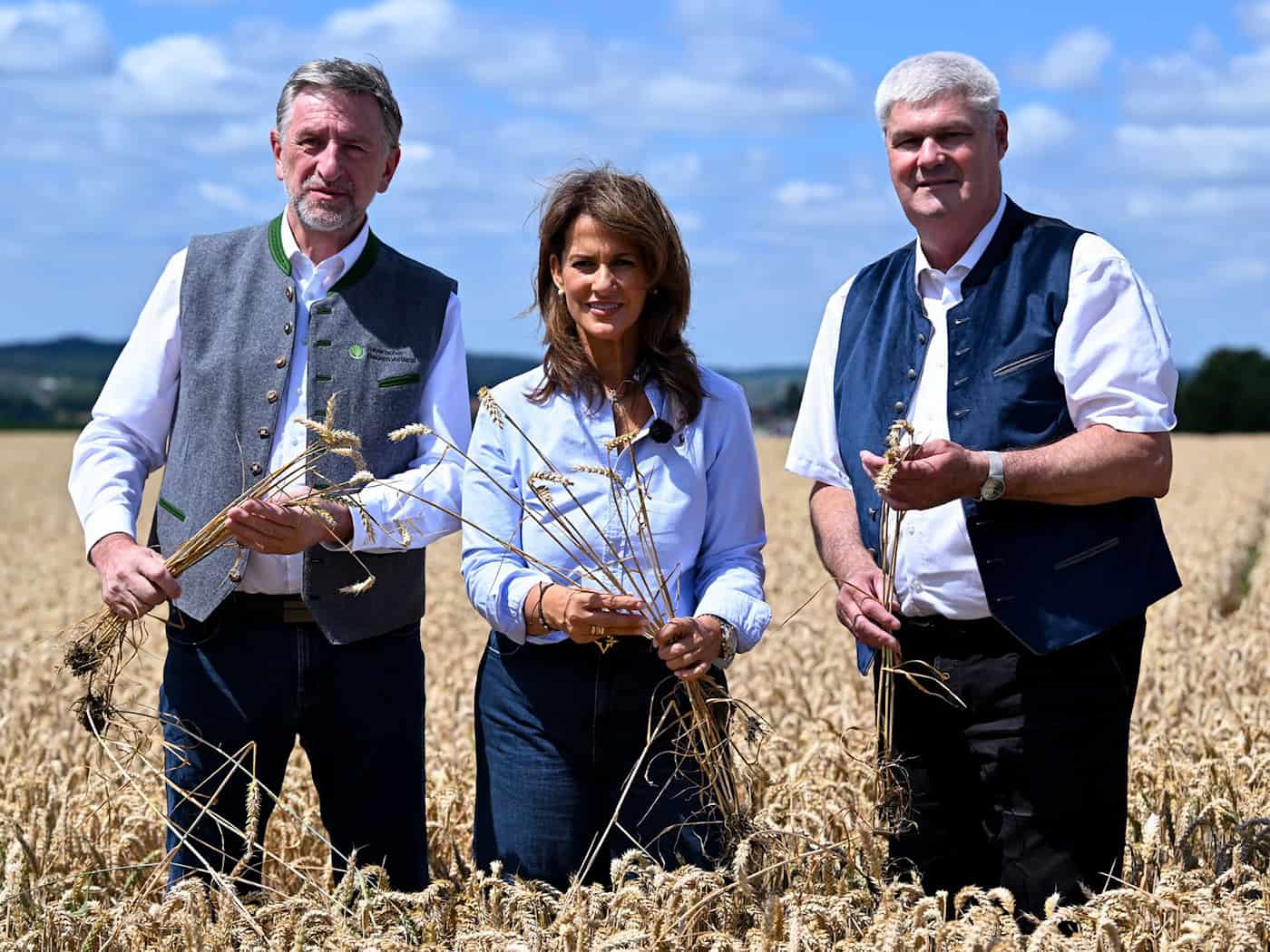 Bauernpräsident Felßner, Ministerin Kaniber und Getreide-Experte Greif machen sich ein Bild von den Trockenschäden. / Foto: Sven Hoppe/dpa