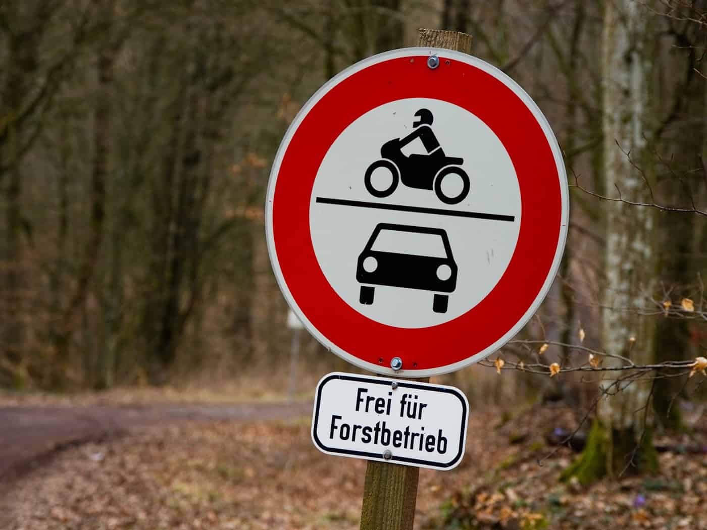 Um ins Tal zu gelangen, nutzt der Mann eine Forststraße. (Symbolbild) / Foto: Nicolas Armer/dpa