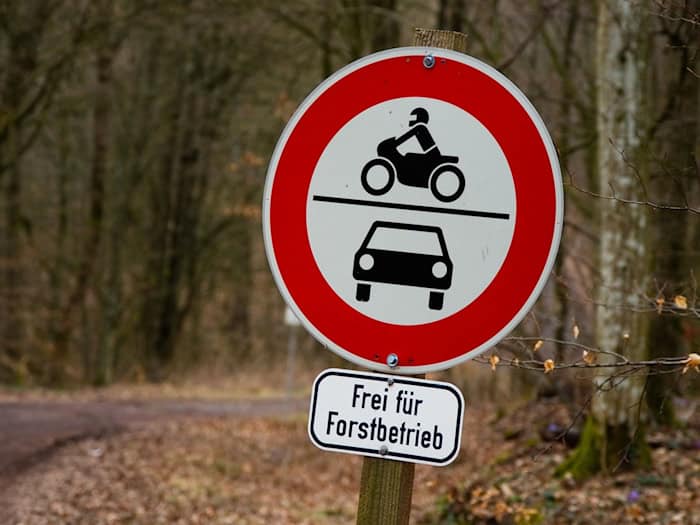 Um ins Tal zu gelangen, nutzt der Mann eine Forststraße. (Symbolbild) / Foto: Nicolas Armer/dpa