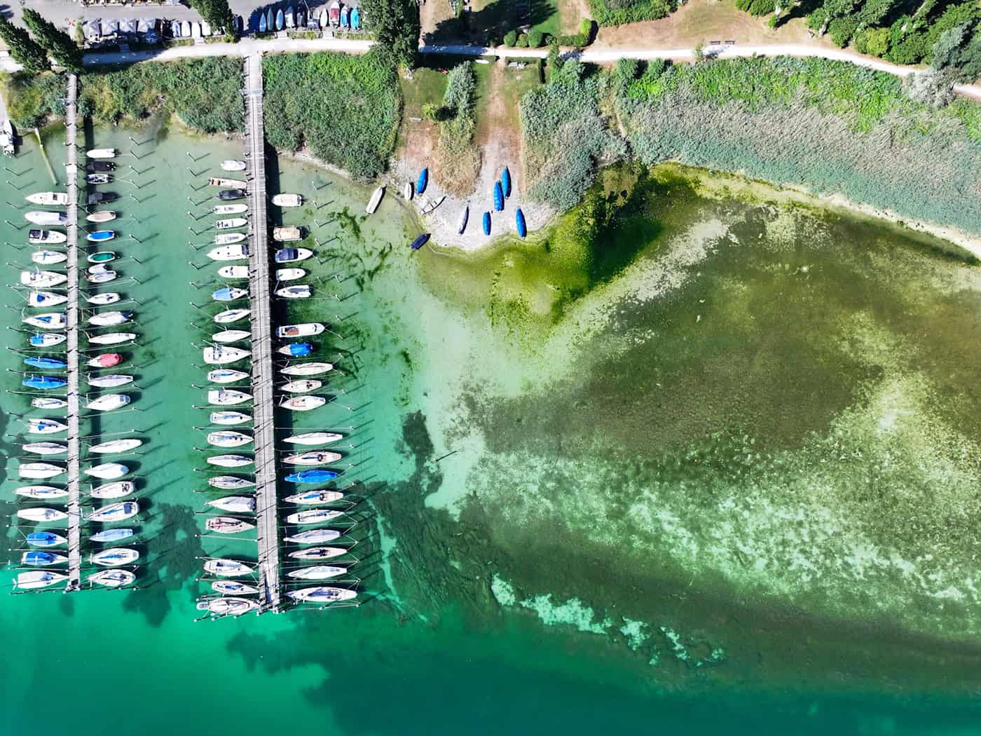 Das Niedrigwasser hat schon erste Auswirkungen.  / Foto: Felix Kästle/dpa