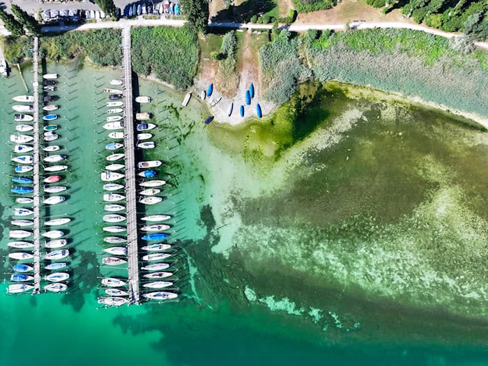 Das Niedrigwasser hat schon erste Auswirkungen.  / Foto: Felix Kästle/dpa