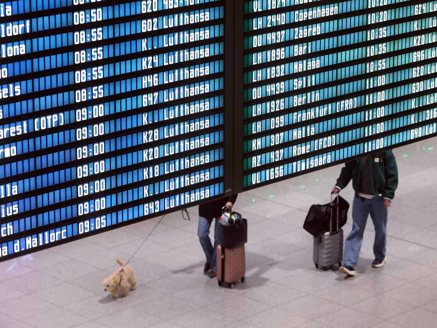 Eine Frau wurde am Münchner Flughafen vom Weiterflug ausgeschlossen. (Symbolbild) / Foto: Karl-Josef Hildenbrand/dpa