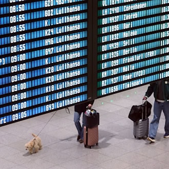 Eine Frau wurde am Münchner Flughafen vom Weiterflug ausgeschlossen. (Symbolbild) / Foto: Karl-Josef Hildenbrand/dpa