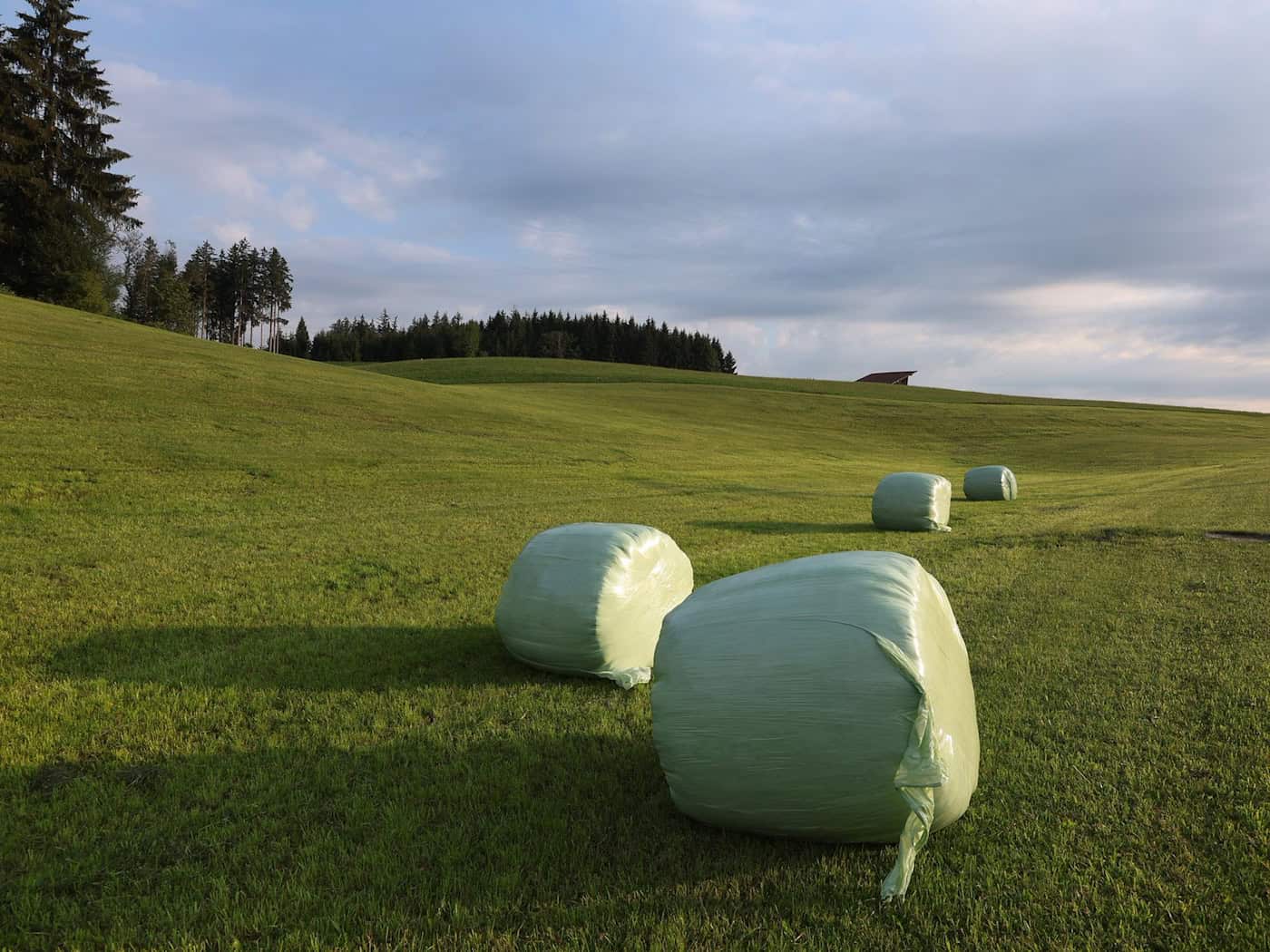 Mit sommerlichen Temperaturen in Bayern geht es ins Wochenende.  / Foto: Karl-Josef Hildenbrand/dpa