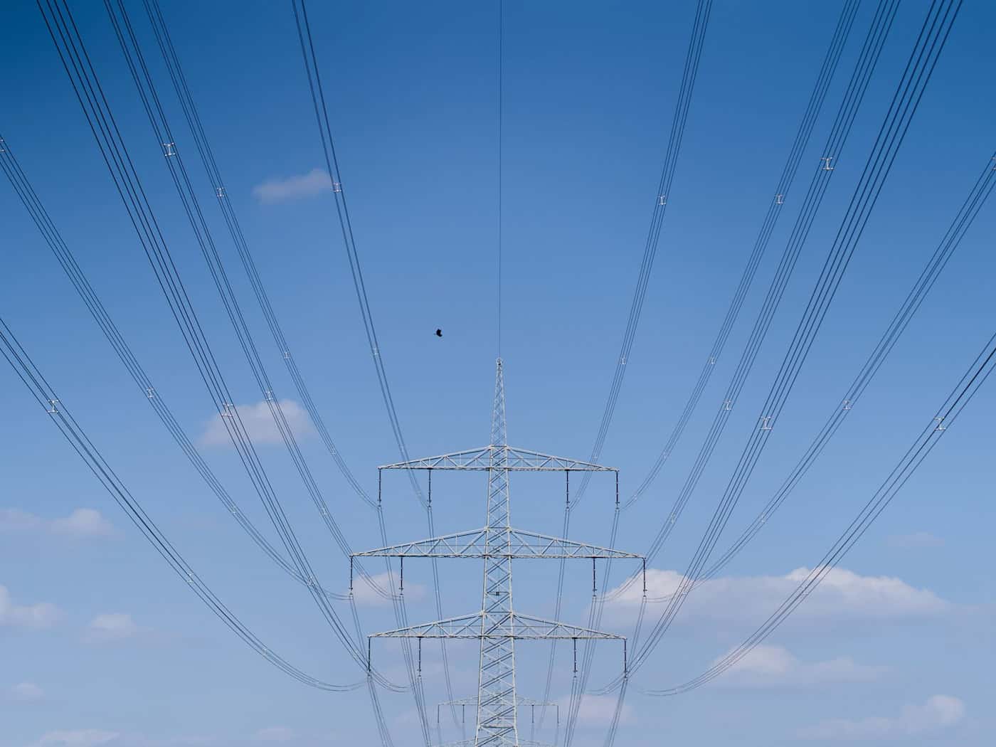Eine Stromtrasse bei Lichtenfels im Jahr 2020. Der nunmehr offiziell in Betrieb genommene neue «Ostbayernring» soll das Stromnetz entlasten und bei der Aufnahme der gestiegenen Ökostromproduktion helfen. (Symbolbild) / Foto: Nicolas Armer/dpa