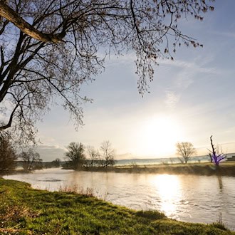 Der Dresdner Extremschwimmer Joseph Heß will die Donau von Ulm bis zur Mündung durchschwimmen. (Symbolbild) / Foto: Thomas Warnack/dpa