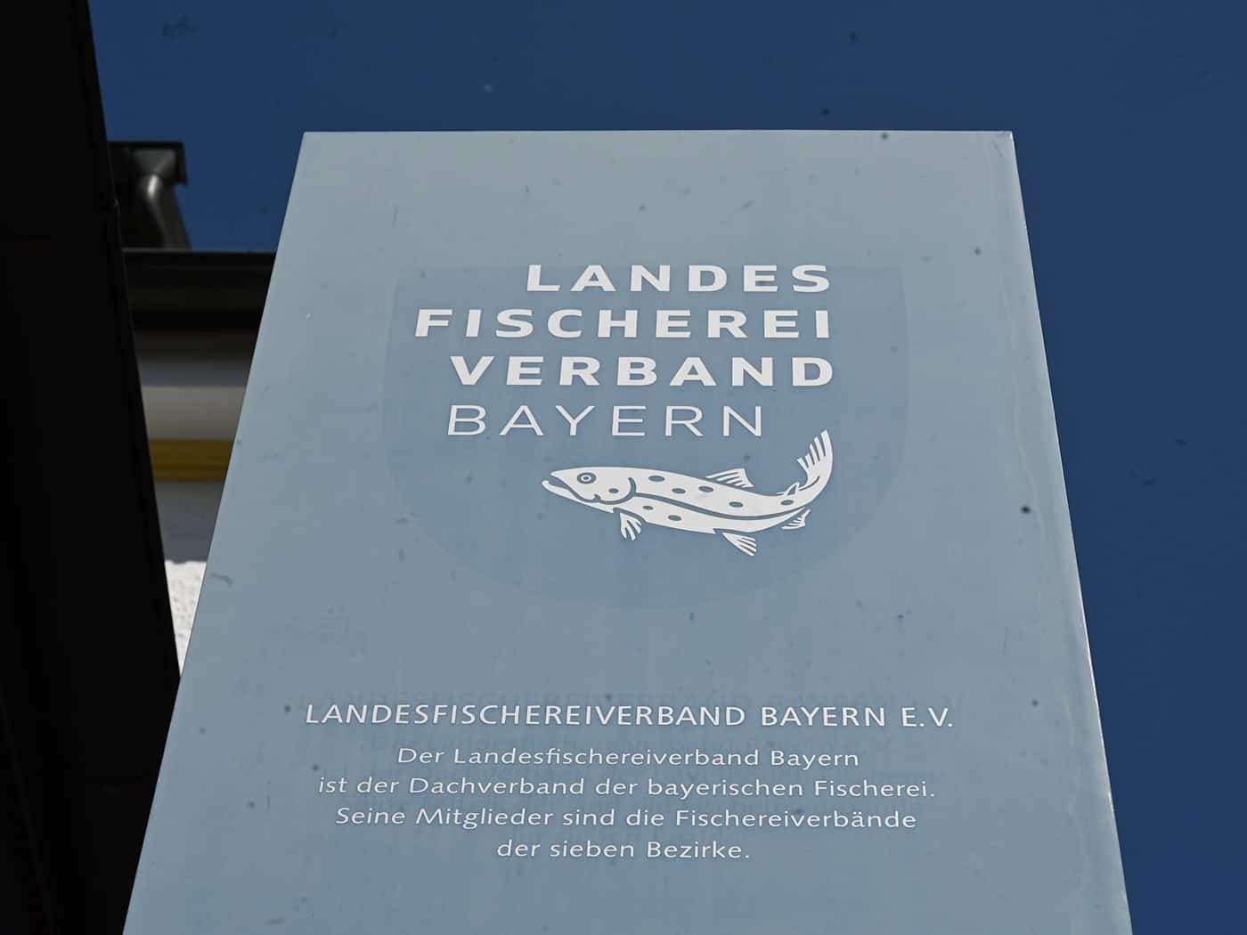 Der Präsident des Landes Fischereiverbands Bayern ist zurückgetreten.  / Foto: Florian Diettrich/dpa