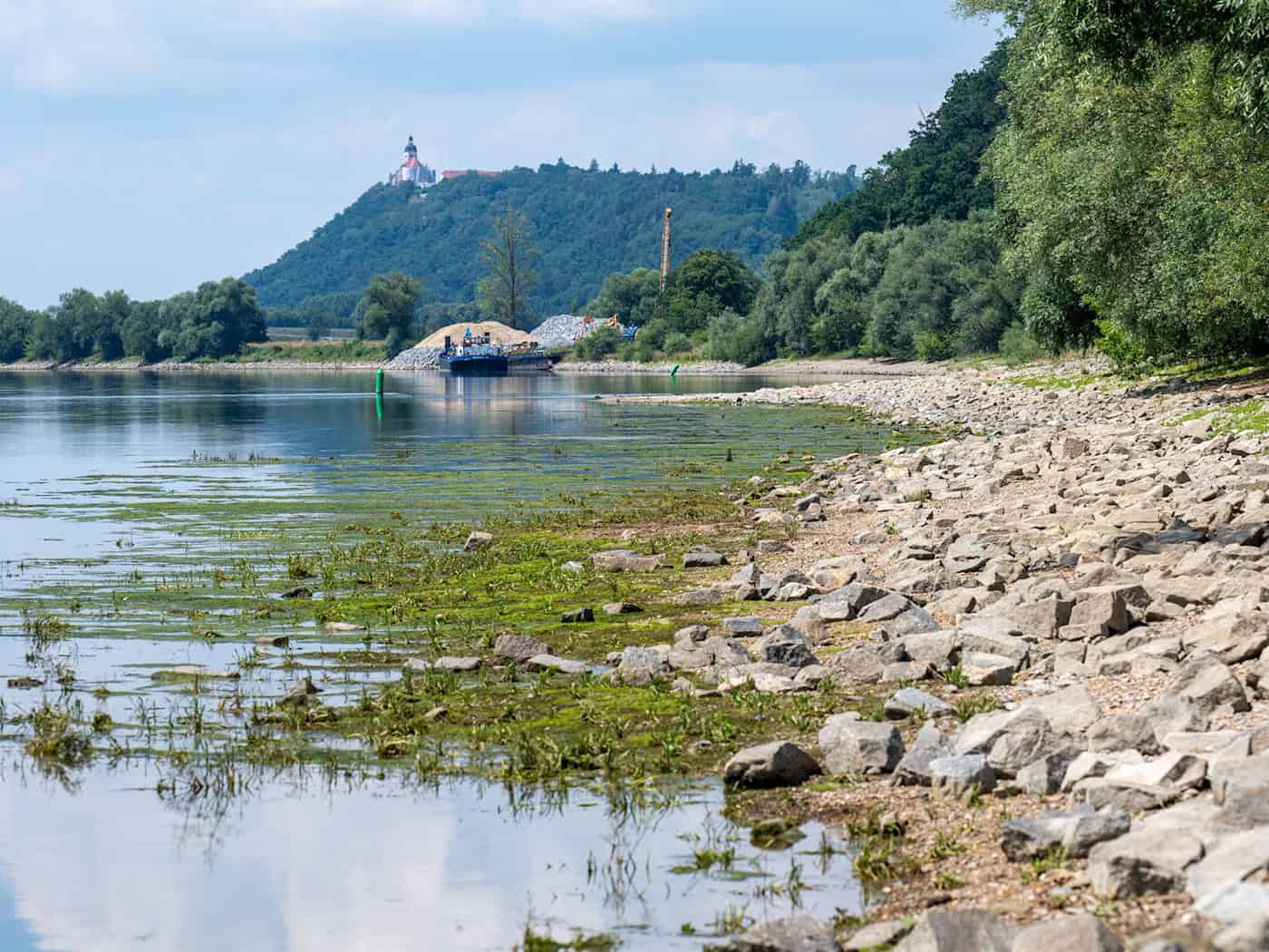Nicht nur an der Donau sind die Wasserstände derzeit ungewöhnlich niedrig. (Archivbild) / Foto: Armin Weigel/dpa