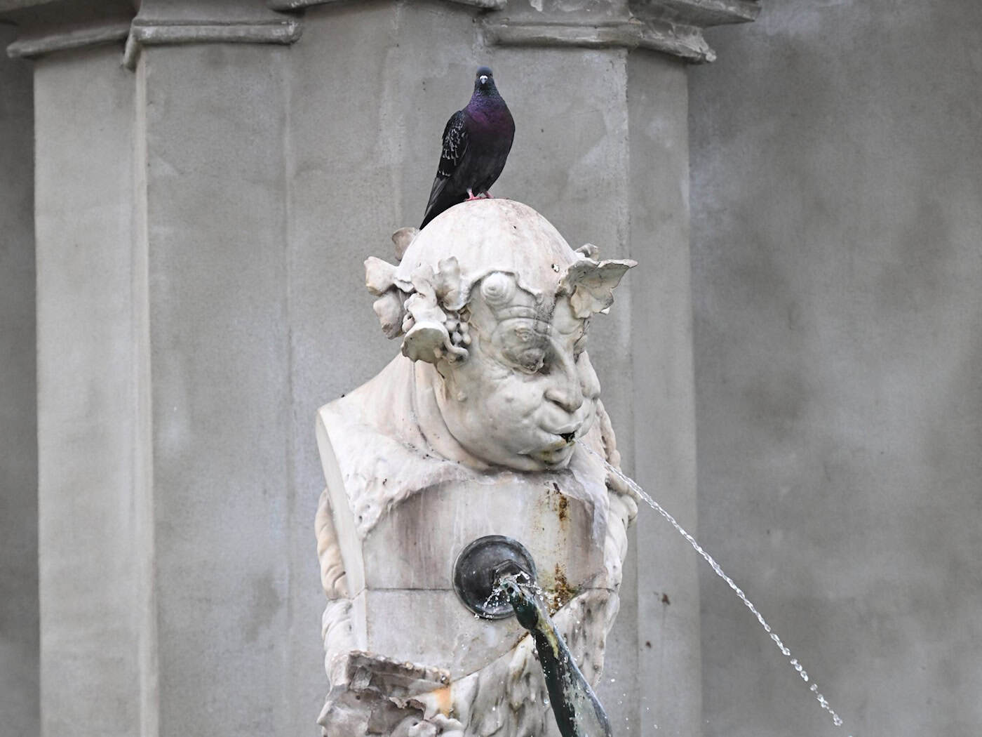 Das Wochenende in Bayern verspricht angenehmes Wetter ohne große Hitze. (Symbolbild) / Foto: Felix Hörhager/dpa