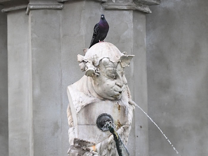 Das Wochenende in Bayern verspricht angenehmes Wetter ohne große Hitze. (Symbolbild) / Foto: Felix Hörhager/dpa