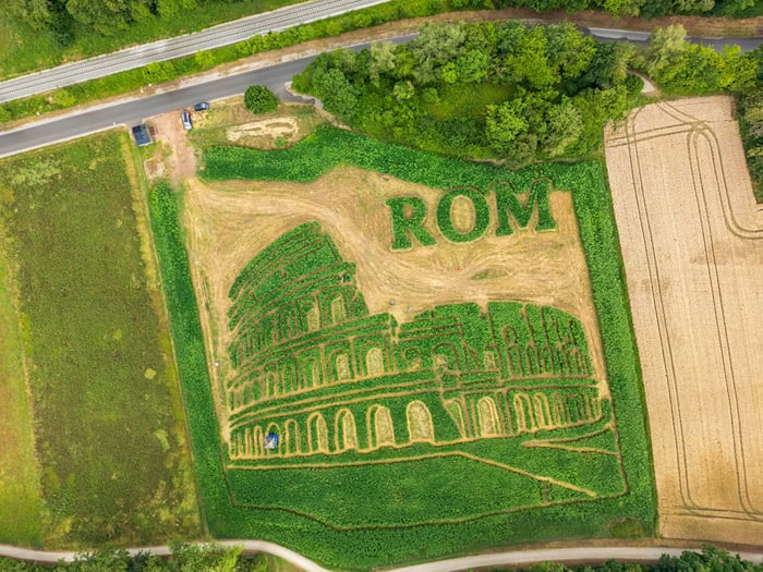 Das traditionelle Uttinger Feld-Labyrinth zeigt dieses Jahr das Kolosseum in Rom.  / Foto: Peter Kneffel/dpa