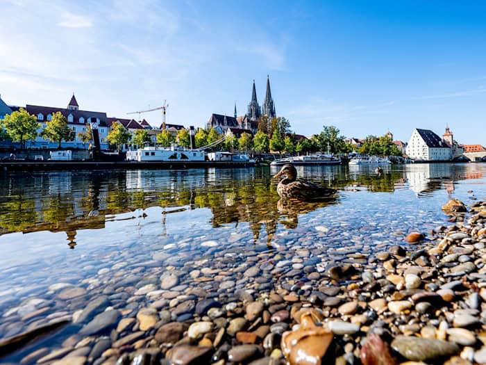 Entwarnung: Das Wasser der Donau soll keine gefährlichen Blaualgen enthalten. (Symbolbild) / Foto: Armin Weigel/dpa