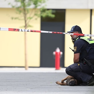 Das Gelände wurde abgesucht. / Foto: Karl-Josef Hildenbrand/dpa