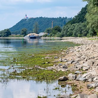 Regenmangel macht sich am Donauufer bemerkbar. / Foto: Armin Weigel/dpa