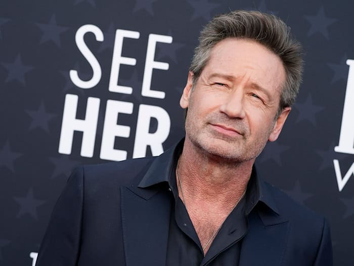 «Akte X»-Star David Duchovny erhält den Ehrenpreis des Festivals. (Archivbild) / Foto: Jordan Strauss/AP/dpa