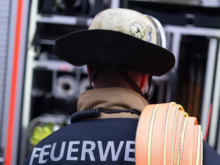 Der Schaden ist enorm. (Symbolbild) / Foto: Marijan Murat/dpa