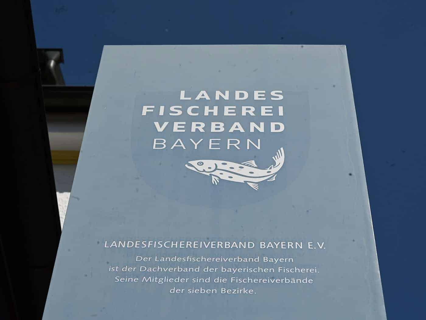 Die Präsidenten der Bezirksverbände des Landesfischereiverbandes wollen den amtierenden Präsidenten abberufen.  / Foto: Florian Diettrich/dpa