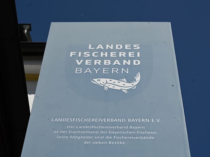 Die Präsidenten der Bezirksverbände des Landesfischereiverbandes wollen den amtierenden Präsidenten abberufen.  / Foto: Florian Diettrich/dpa
