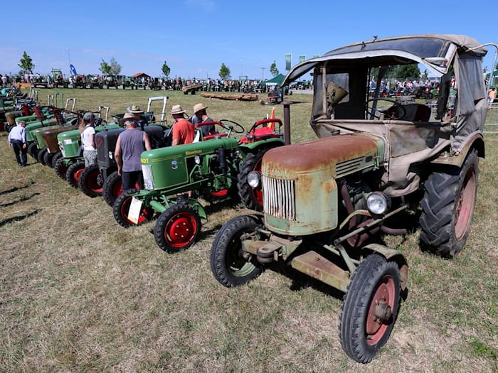 Ein Oldtimer-Traktor schöner als der andere. / Foto: Karl-Josef Hildenbrand/dpa