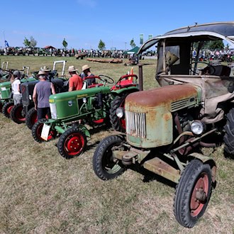 Ein Oldtimer-Traktor schöner als der andere. / Foto: Karl-Josef Hildenbrand/dpa