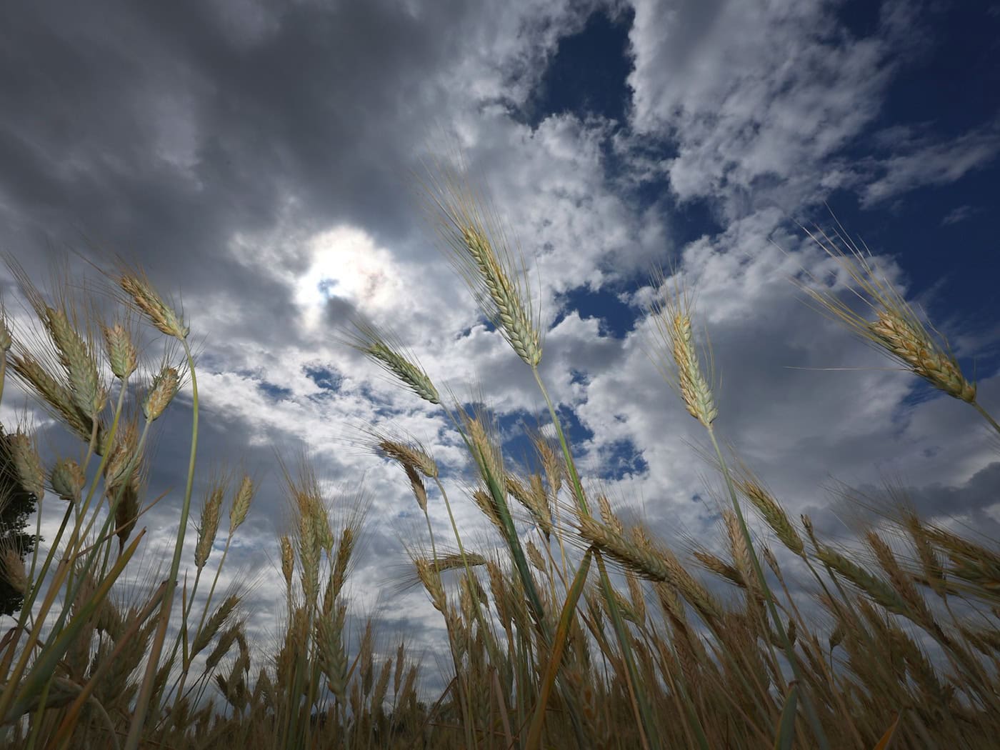 Zum Wochenstart ziehen noch graue Wolken über Bayern. / Foto: Karl-Josef Hildenbrand/dpa