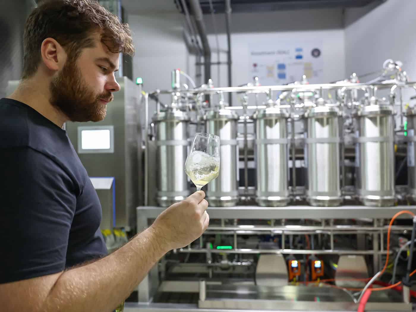 Alkoholfrei durch den Sommer - Wandel im Winzerland