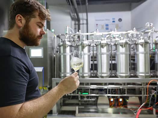 Alkoholfrei durch den Sommer - Wandel im Winzerland