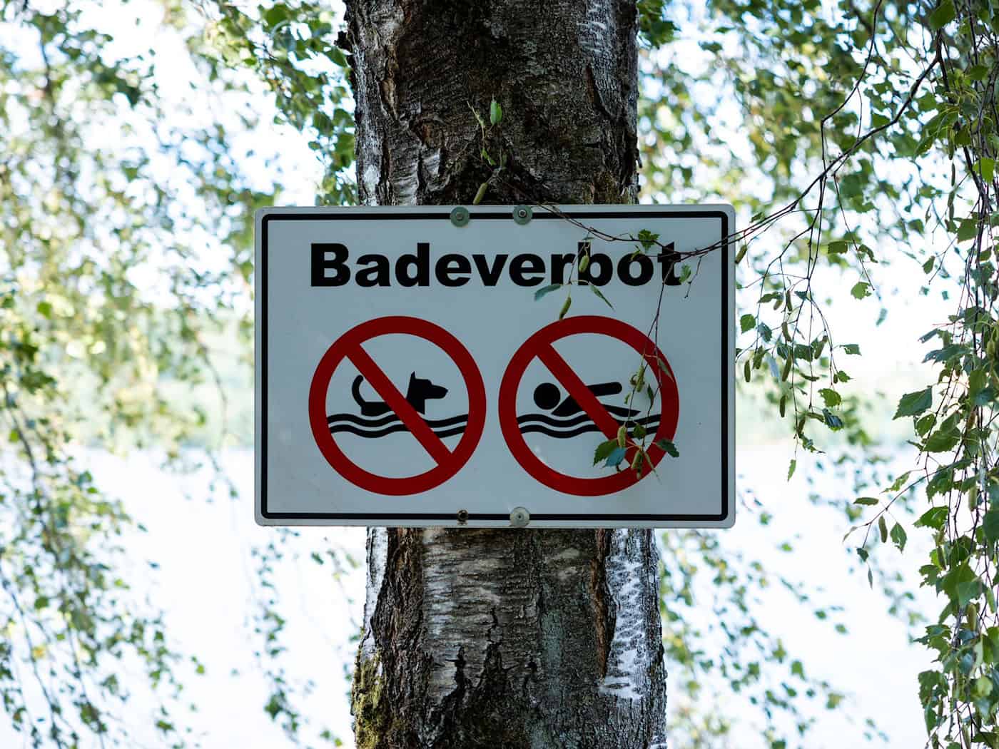 Badeverbot nach Fischsterben in Badeweiher wird aufgehoben