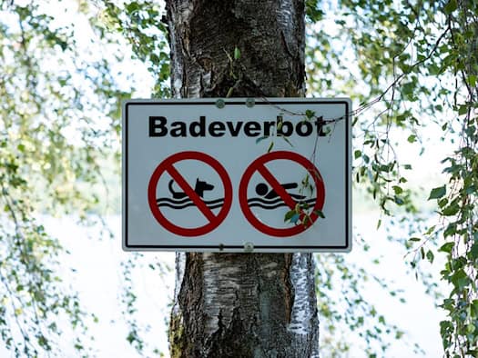Badeverbot nach Fischsterben in Badeweiher wird aufgehoben