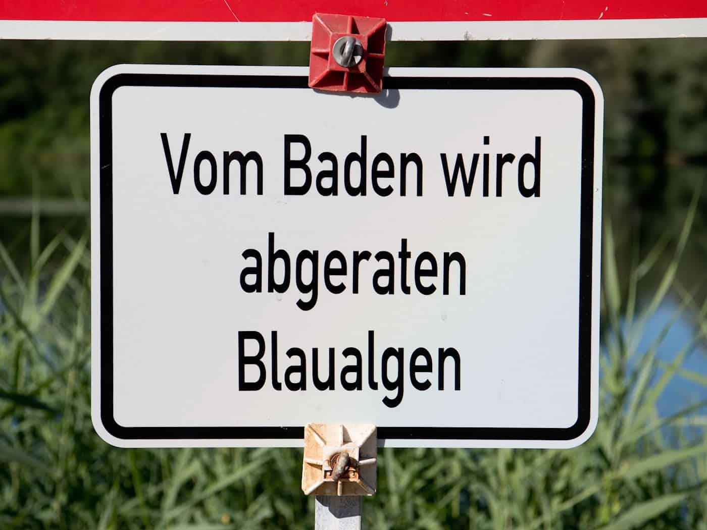 Badewarnung wegen Blaualgen in Baggersee in Oberfranken