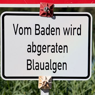 Badewarnung wegen Blaualgen in Baggersee in Oberfranken