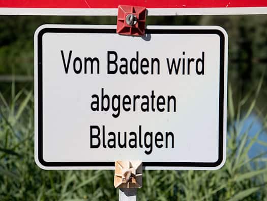 Badewarnung wegen Blaualgen in Baggersee in Oberfranken
